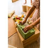 Dantoy Green Garden Kasseapparat Sett I Æske