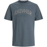 Jack & Jones Junior Stormy Weather Jjecaleb Varsity Tee Ss O-Neck Noos Jnr