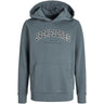 Jack & Jones Junior Stormy Weather Jjecaleb Varsity Sweat Huva Noos Jnr