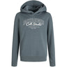Jack & Jones Junior Stormy Weather Big Print Jjmakoto Sweat Huva Jnr