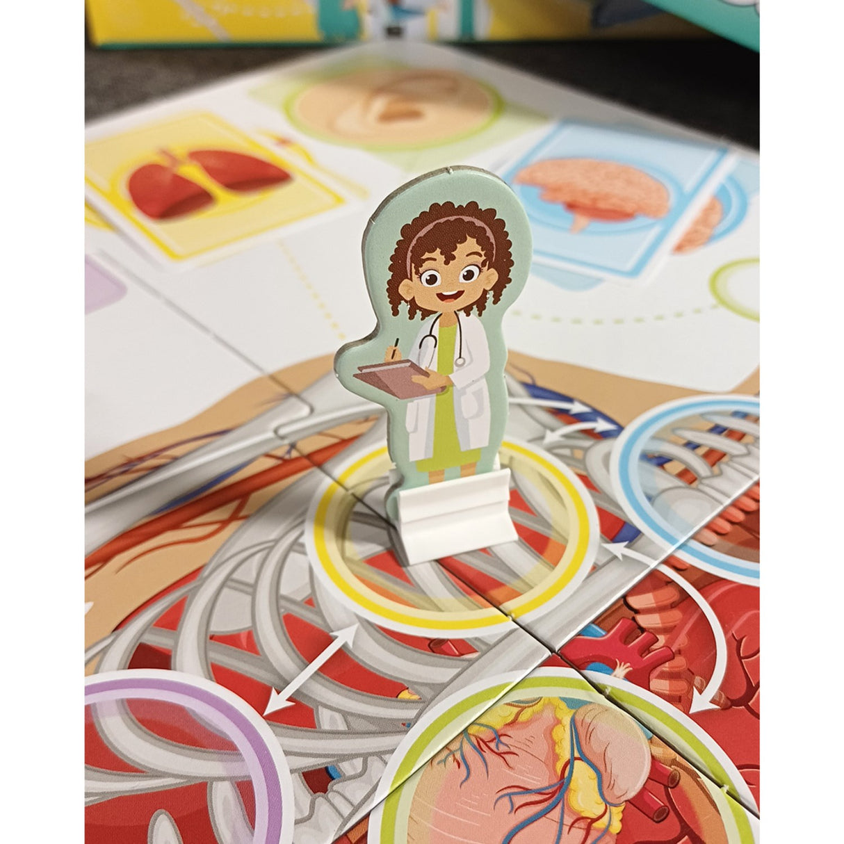 Tactic Games Lær Om Din Fantastiske Krop