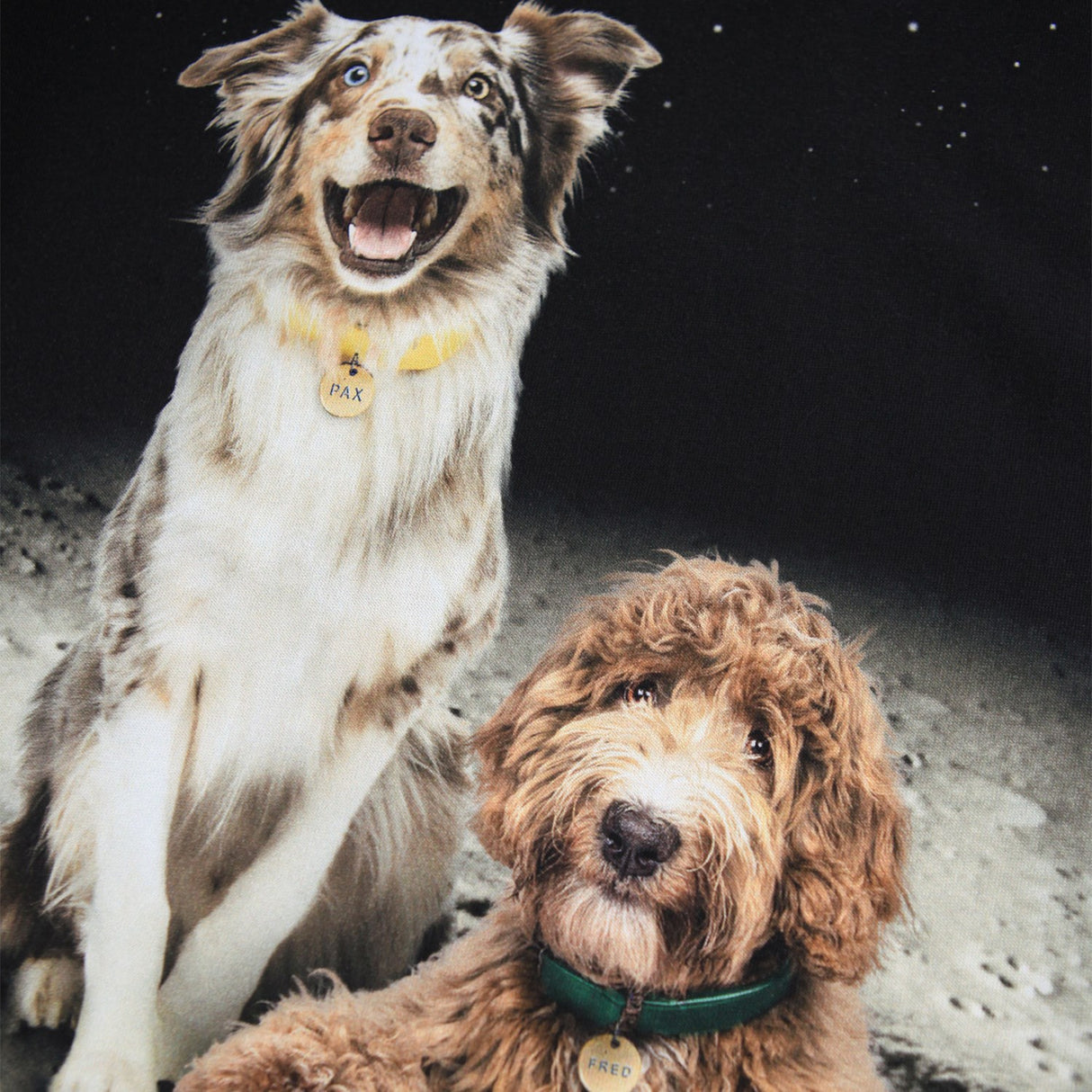 Molo Moon Friends Reif Blus