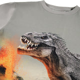Molo Dinosaur Fog Rube Blus