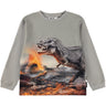 Molo Dinosaur Fog Rube Blus