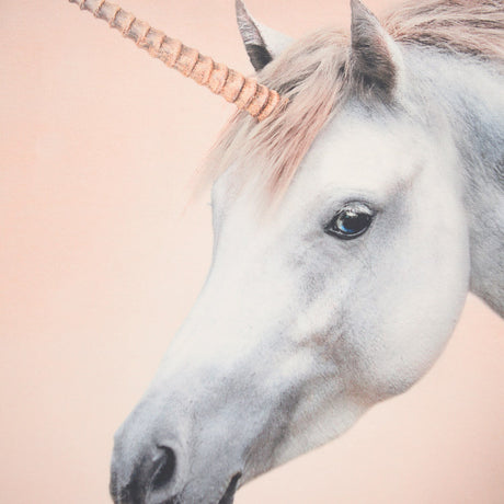 Molo Born A Unicorn Mountoo Sweatshirt