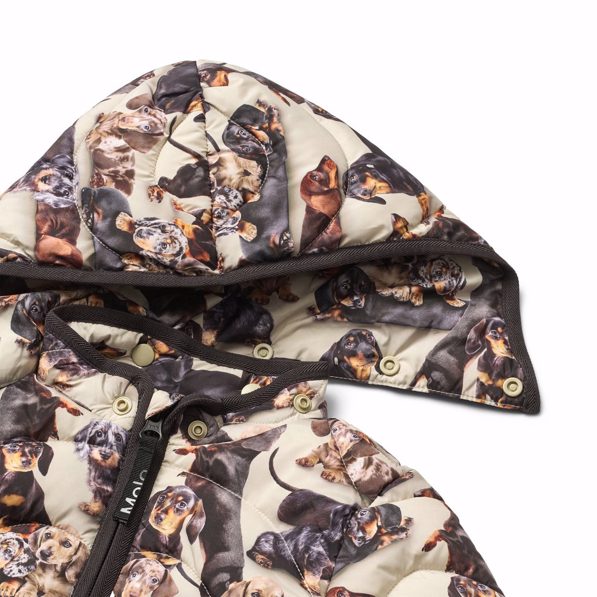 Molo Dashshund Soft Harmony Jacka