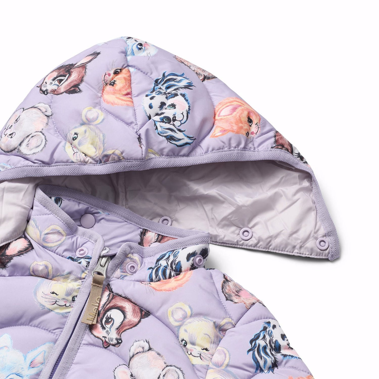 Molo Itty Bitty Purple Harmony Jacka