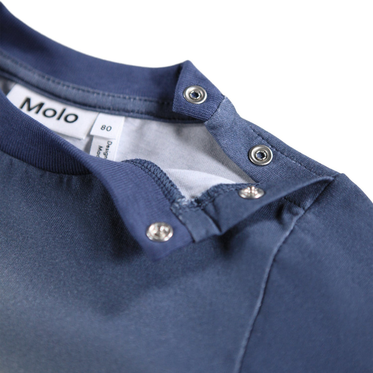 Molo Dachshund Cubs Eloy Blus