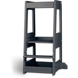 tiSsi® Grey Laquer Felix Lärande Torn Massiv Bok