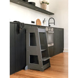 tiSsi® Grey Laquer Felix Lärande Torn Massiv Bok