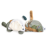 Sebra Turbo The Turtle Activity Bok