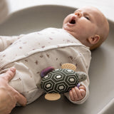 Sebra Turbo The Turtle Activity Skallra Med Spegel