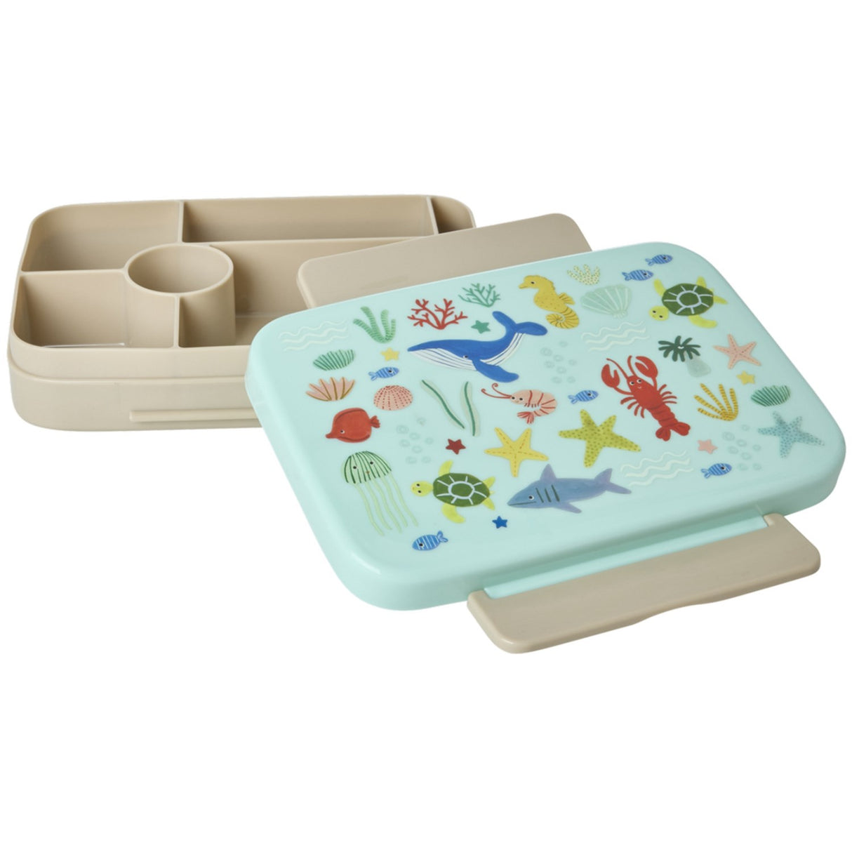 Rice Blue Ocean Print Plastic Lunchbox With 6 Rooms