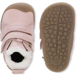 Bundgaard Old Rose Bloom