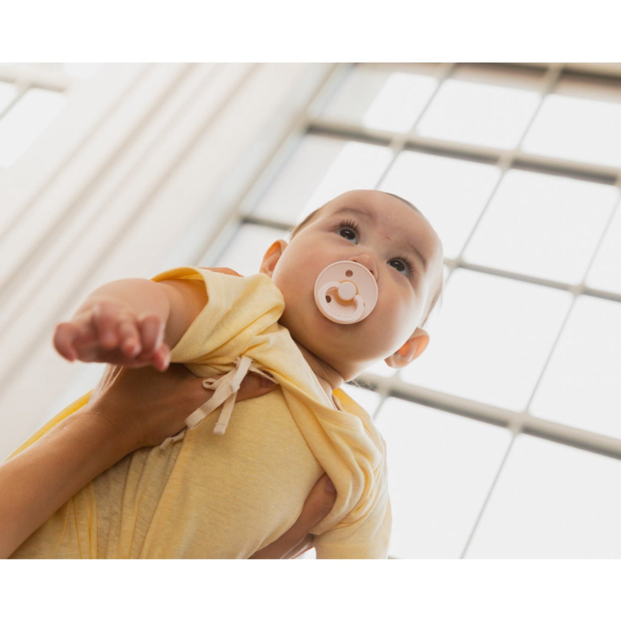 Bibs Petal Napp Colour 2-Pack Latex Plum