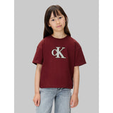 Calvin Klein Raspberry Chocolate Festive Graphic Ss T-Shirt