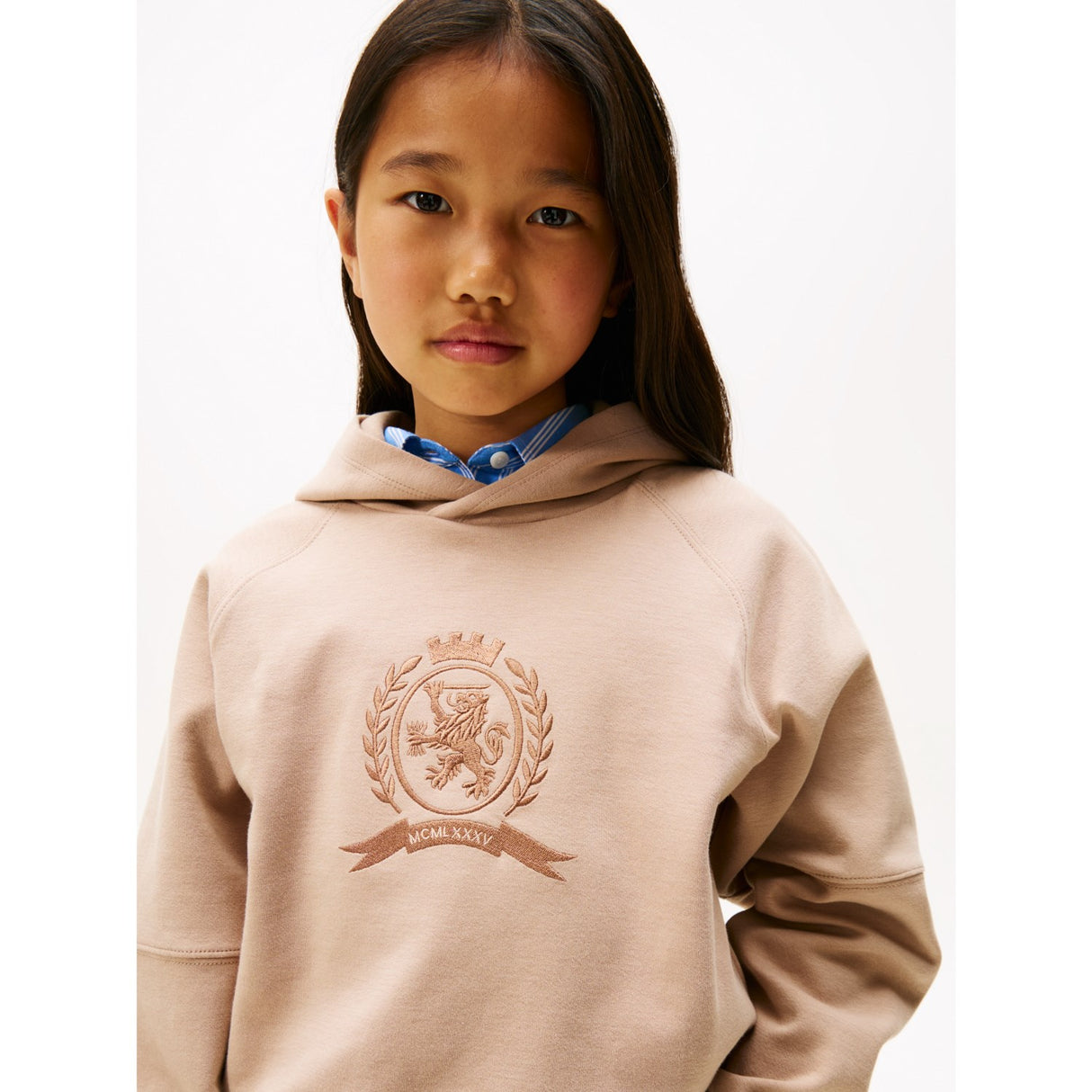 Tommy Hilfiger Malted Milk Tonal Crest Hoodies