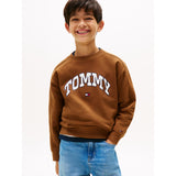 Tommy Hilfiger Pecan Nut Varsity Raised Print Sweatshirt