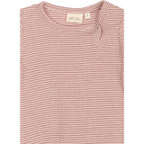 Petit Piao Nostalgic Rose/Dark Off White PPDante Body L/S Merino Ull Striped