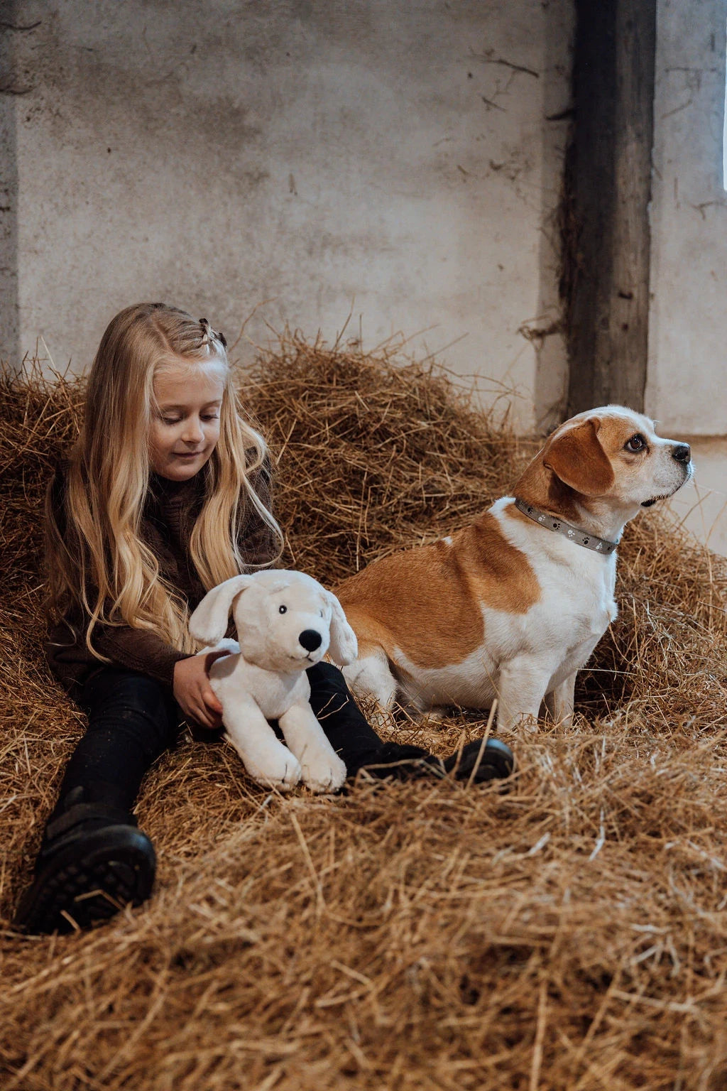 av Astrup Plyschhund med valpar