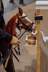 från Astrup Käpphäst, Coco, Rödbrun/Vit