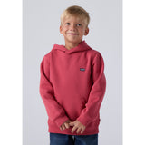 Levi's Cardinal Mini Batwing Pull Över Hoodies