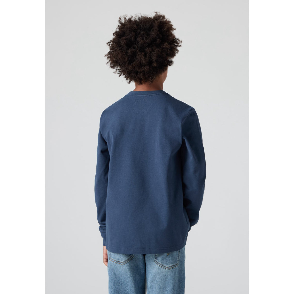 Levi's Big Dipper Collegiate Ls Tee