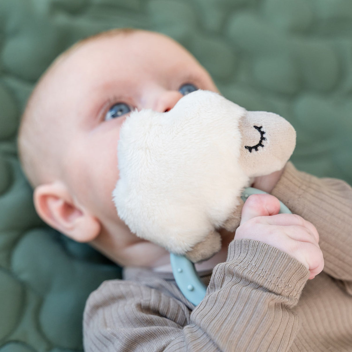 DonebyDeer Blue Sanserangle Med Bitring Sheepy