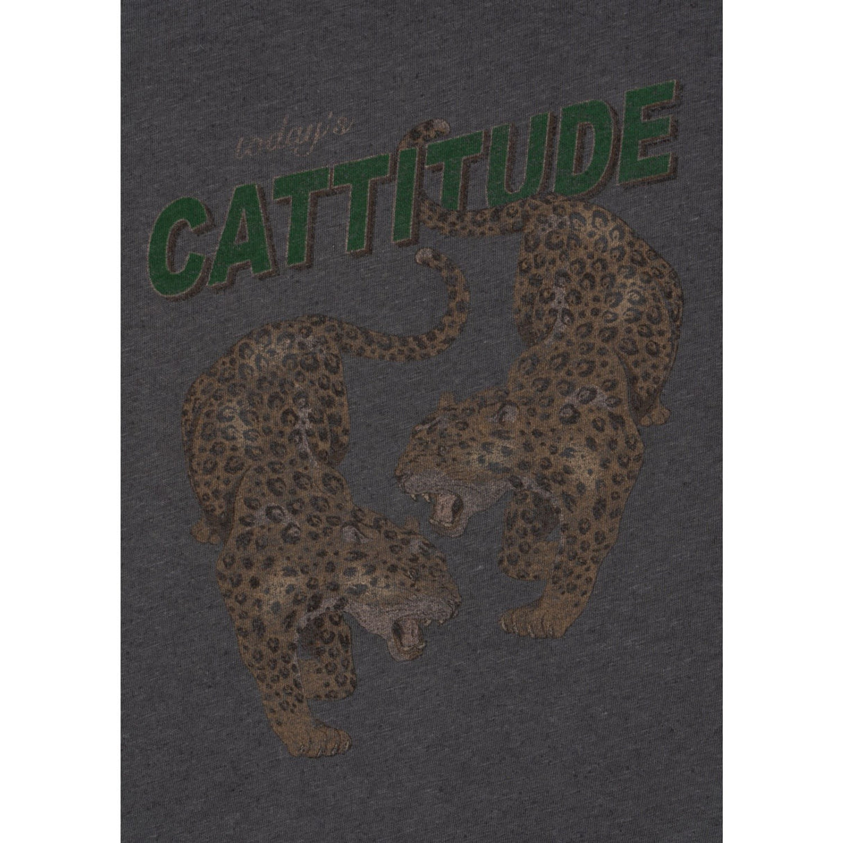 Konges Sløjd Cattitude Era Ls Tee Ocs