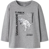 Name It Grey Melange Nmmbryso Ls Nreg Topp Box