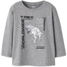 Name It Grey Melange Nmmbryso Ls Nreg Topp Box