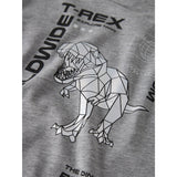 Name It Grey Melange Nmmbryso Ls Nreg Topp Box