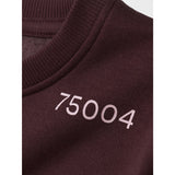 Name It Sassafras Nkfodika Ls Rlx Sweat Bru Bf