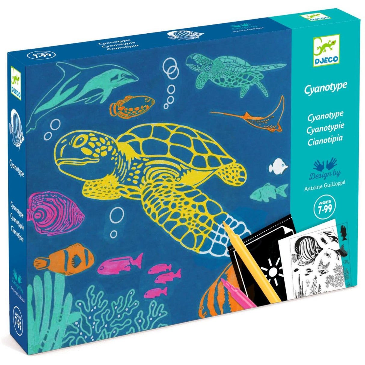 Djeco Cyanotypi/Ljust tryck, Hav