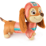 Paw Patrol Liberty Feature Plys