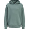 Jack & Jones Junior Mineral Blue Jjcollege Logo Sweat Huva Jnr