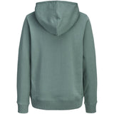 Jack & Jones Junior Mineral Blue Jjcollege Logo Sweat Huva Jnr