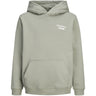 Jack & Jones Junior Seagrass Jornorrebro Typo Back Sweat Huva Sn Jnr