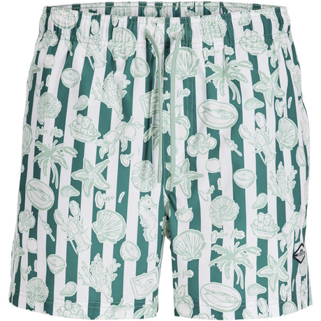 Jack & Jones Junior Granite Green Jpstmaui Vibes Novelty AOP Swim Sh Jnr