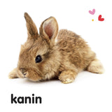 Forlaget Tukan Ryste-Ryste: Dyreunger