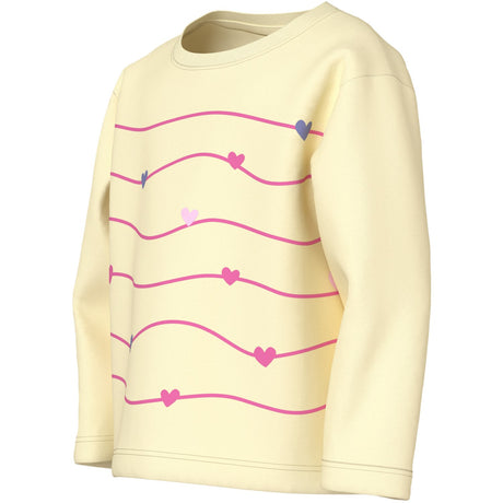 Name It Pear Sorbet Fun Stripe Nmfveen Ls Nreg Topp