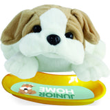 Junior Home Pet Vet Play Sett