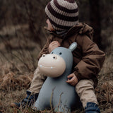 Find that Hippo Hoppe-Dyr - Holger Flodhest