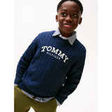 Tommy Hilfiger Dark Night Navy Graphic Cable Cn Sweater