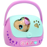 Baby Paws Just Born Hvalp