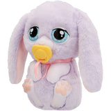 Baby Paws Just Born Kanin