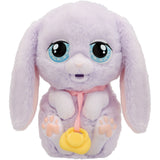 Baby Paws Just Born Kanin