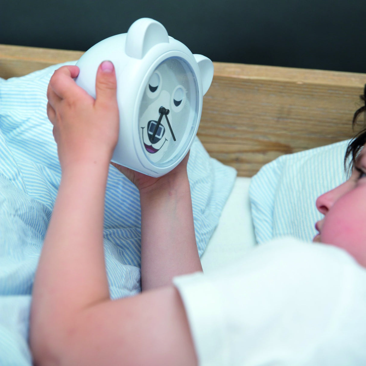 Zazu Grey Bobby The Björn Sömntränare