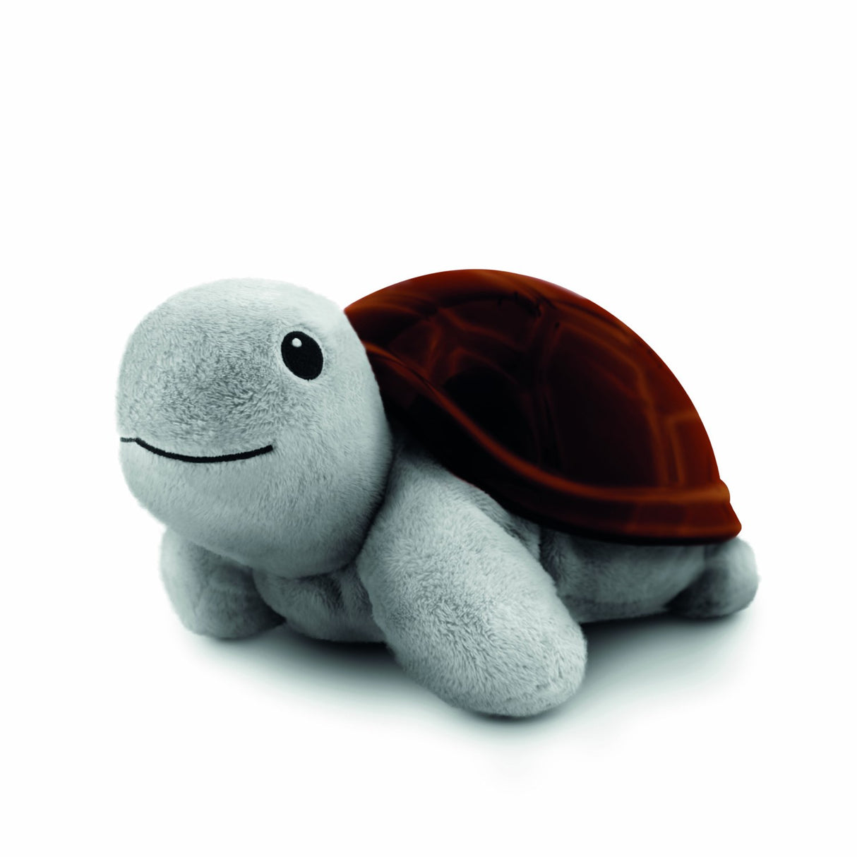 Zazu Brown Tim The Sköldpadda Projector