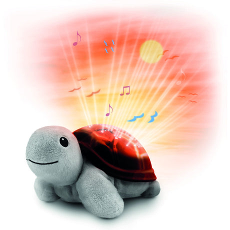 Zazu Brown Tim The Sköldpadda Projector